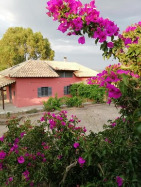 Efcaliptos cottage